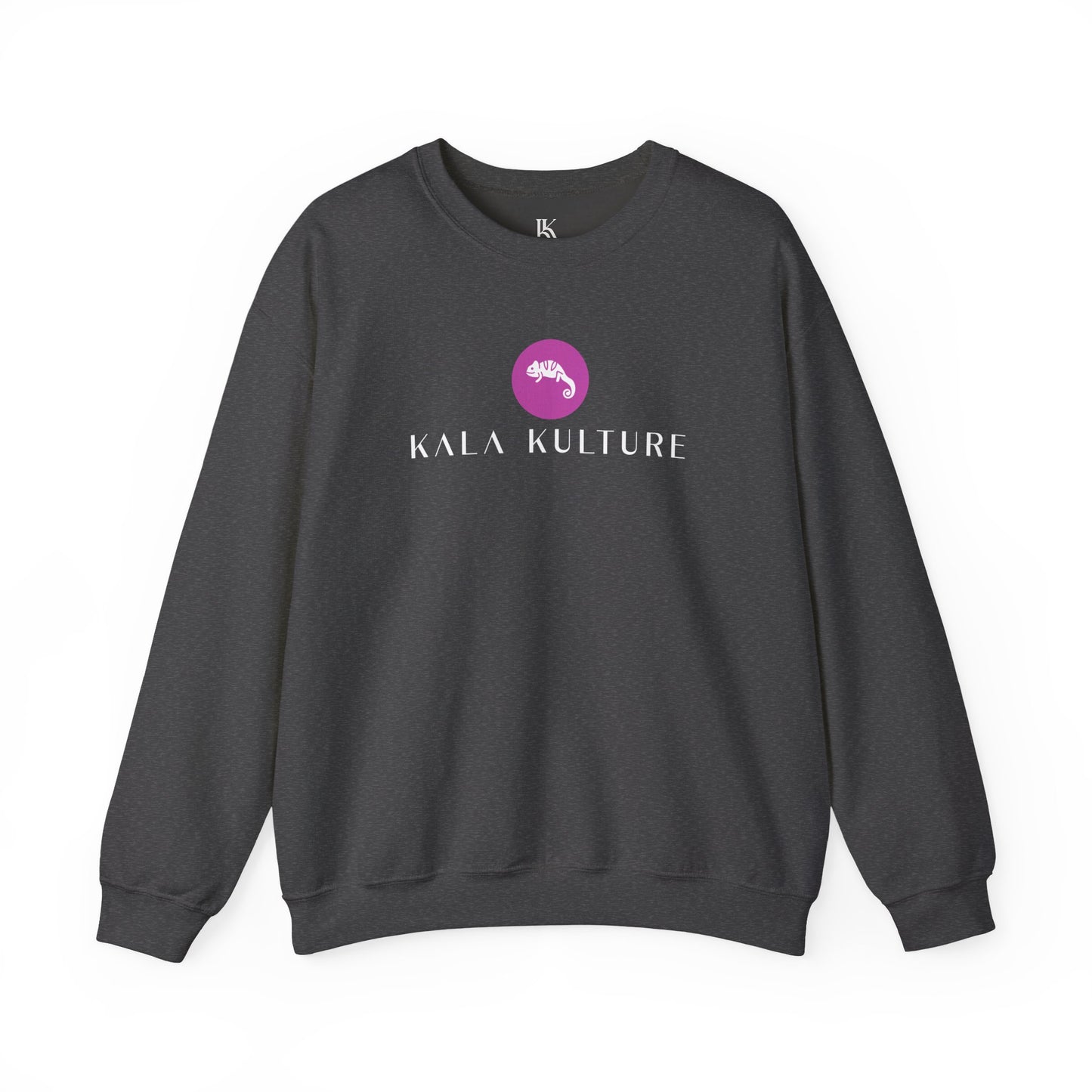 Chameleon Oversized Sweatshirt — Adapt. Evolve. Transform.
