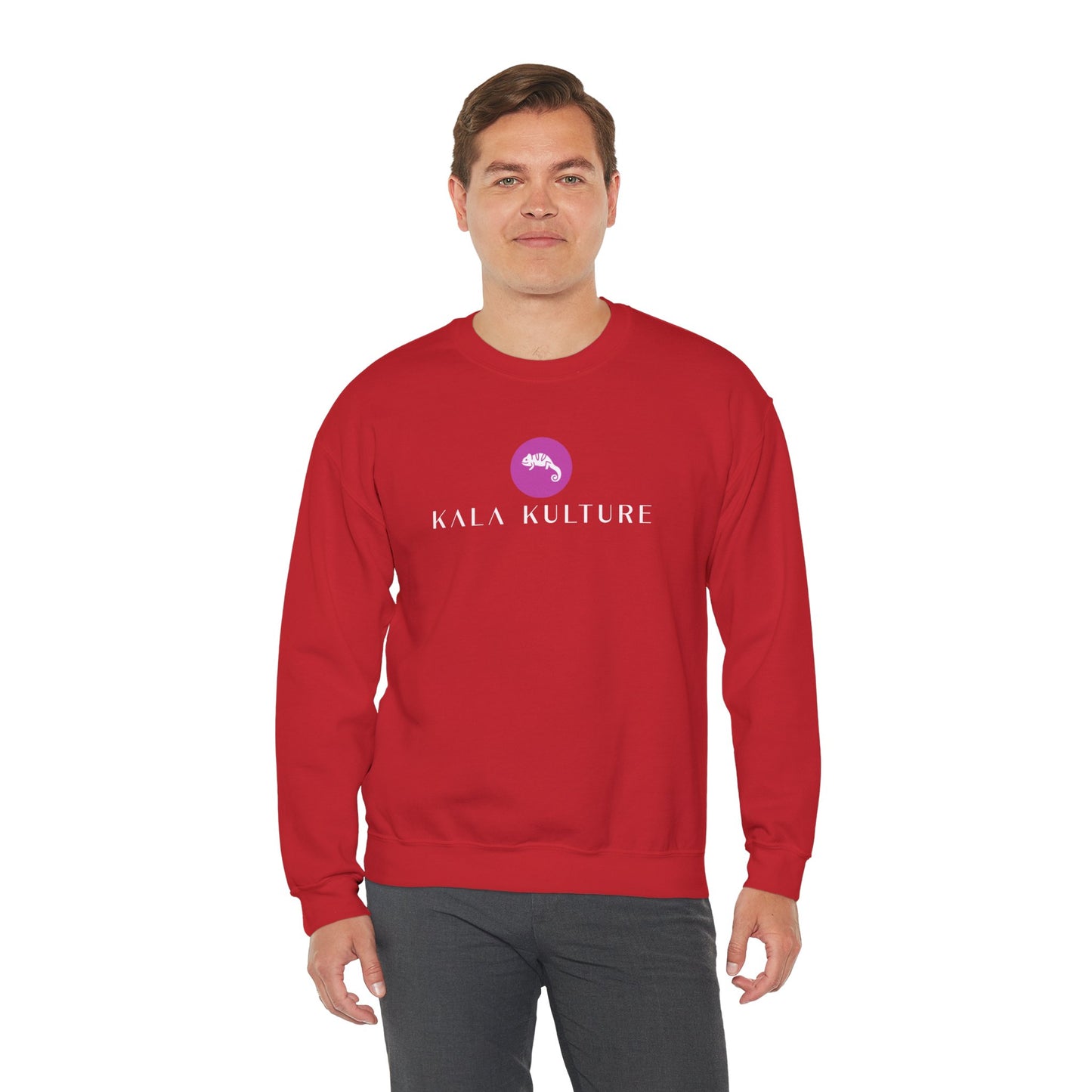 Chameleon Oversized Sweatshirt — Adapt. Evolve. Transform.